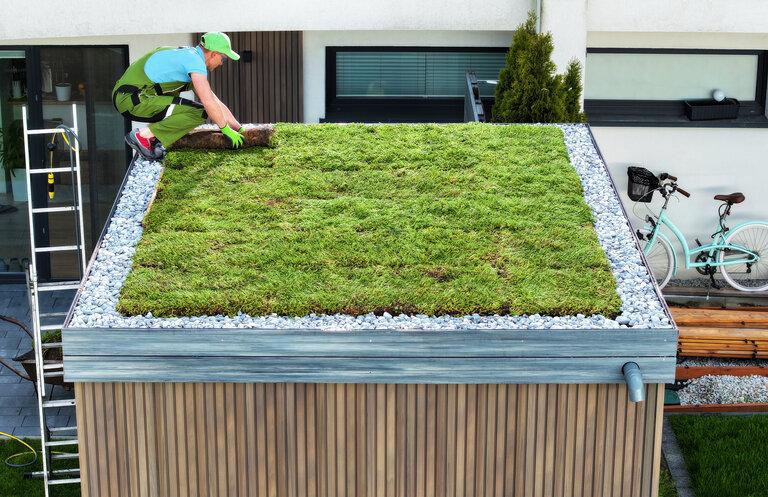 Professioneller Landschaftsgärtner bei der Installation eines Sedum-Gründachs auf einem modernen Gartenhaus.