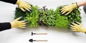 Frühlingsfrisch das ganze Jahr: So gedeiht Ihr Mini-Garten
