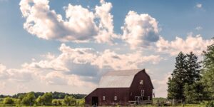 Werkzeug-Know-how für den Land- und Gartenbereich: Einsteiger-Guide